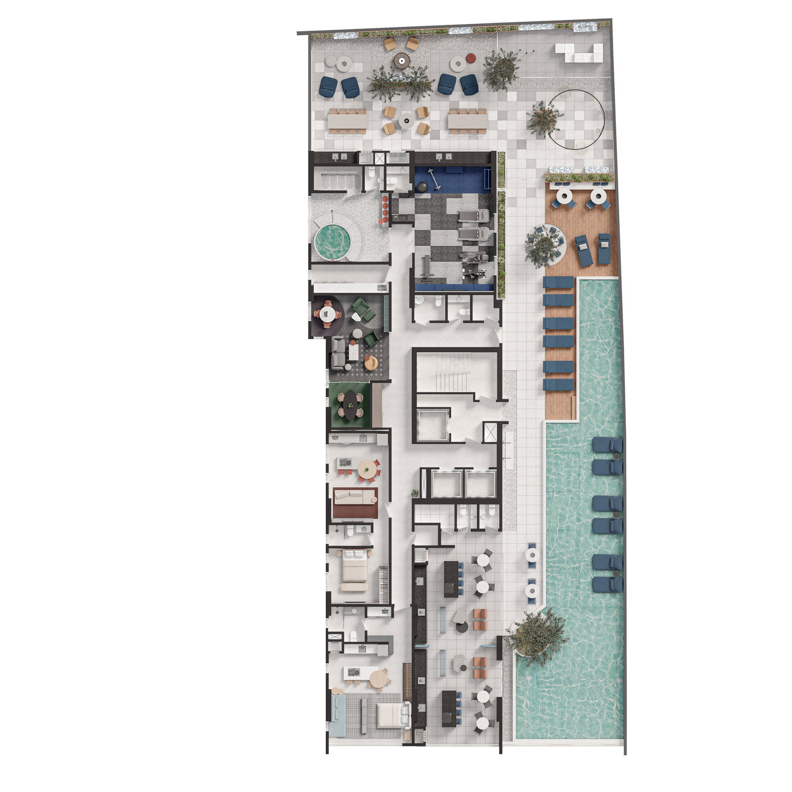 Planta 1 de Plural