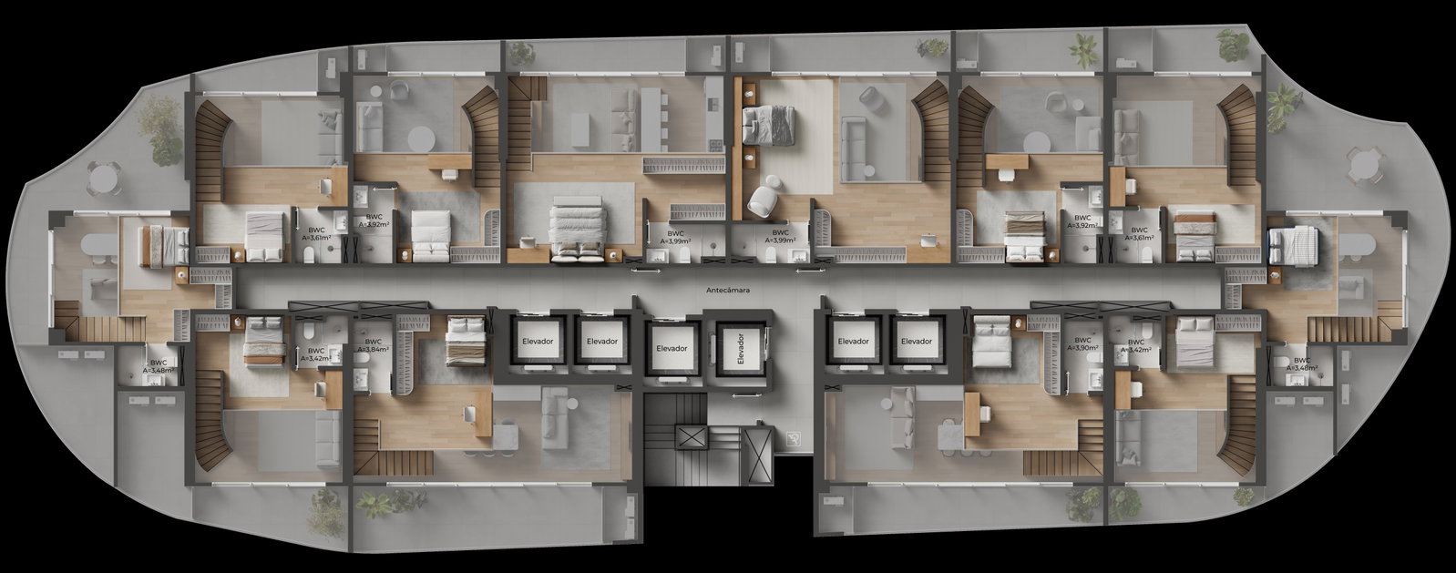 Planta 10 de NF Raro By Sierra
