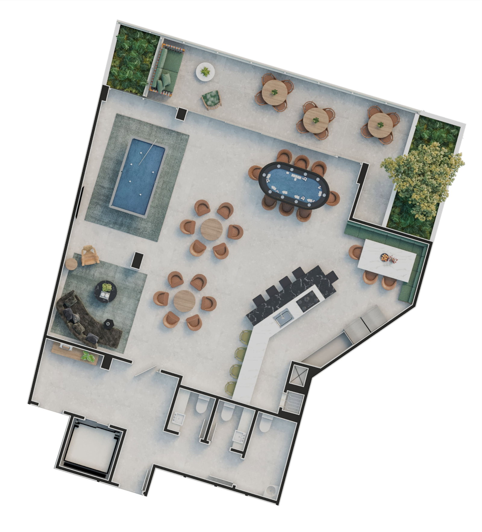 Planta 13 de Vivacità