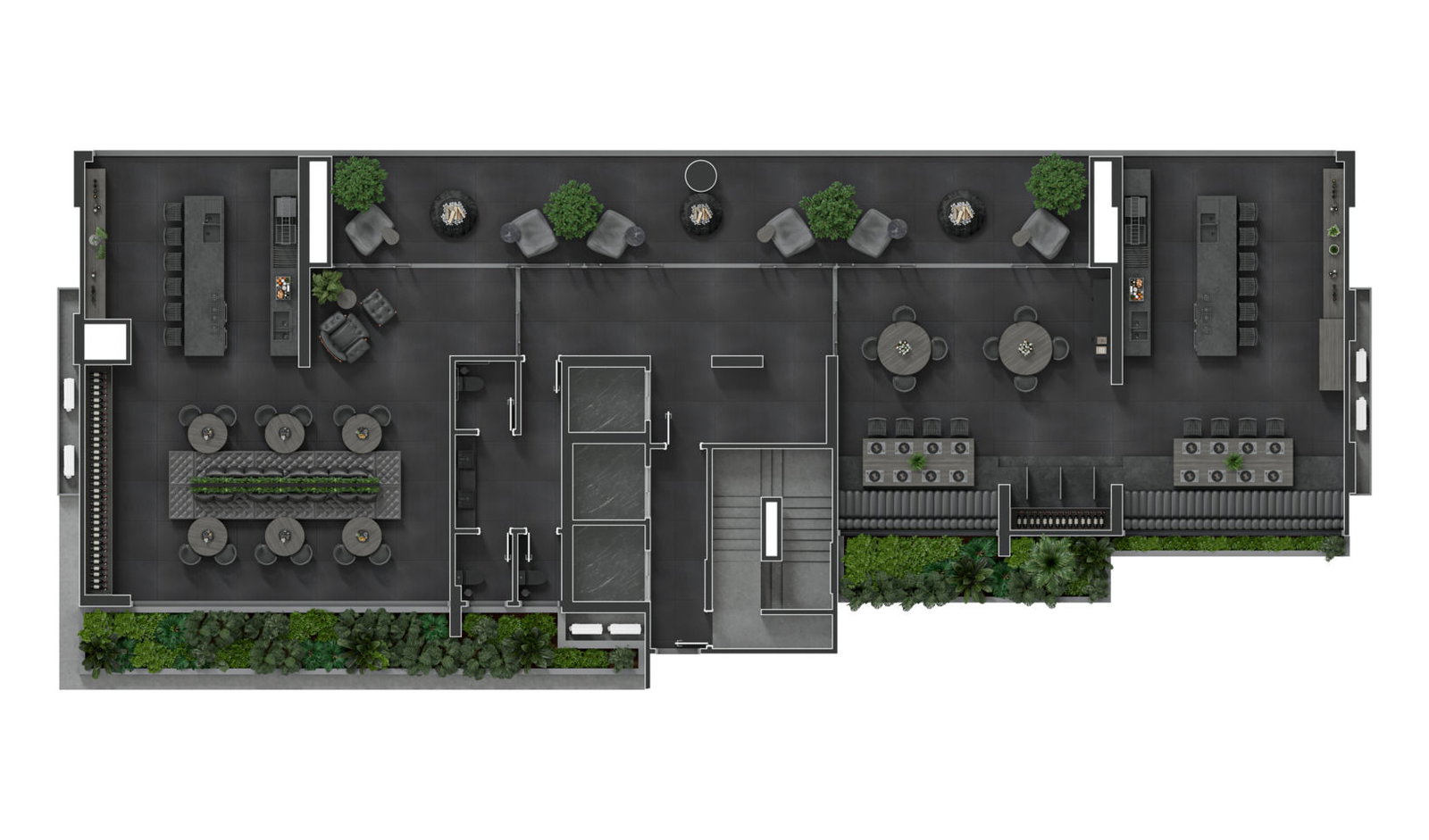 Planta 4 de Black Bird