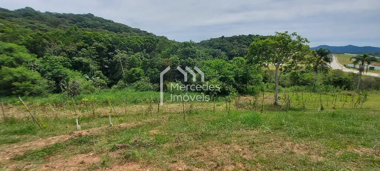 Foto 3 de Terreno à venda 205m², Rio do Meio, Itajaí, SC