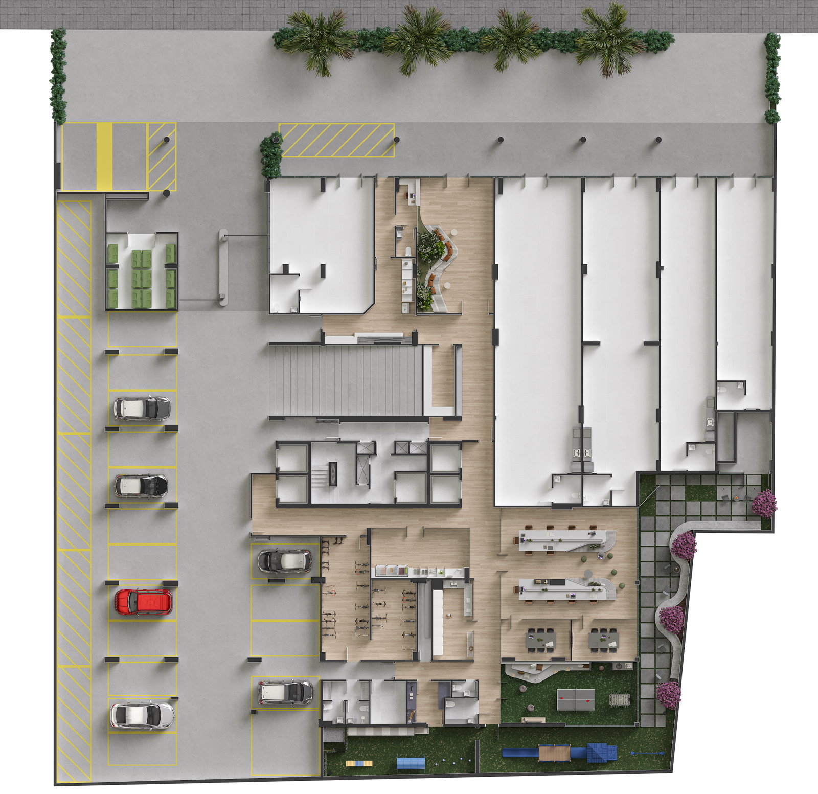 Planta 3 de Pulse
