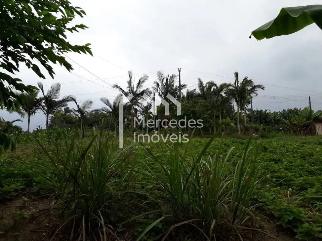 Foto 9 de Chácara à venda, 7920 m² por R$ 2.000.000- Nossa Senhora da Conceição - Balneário Piçarras/SC