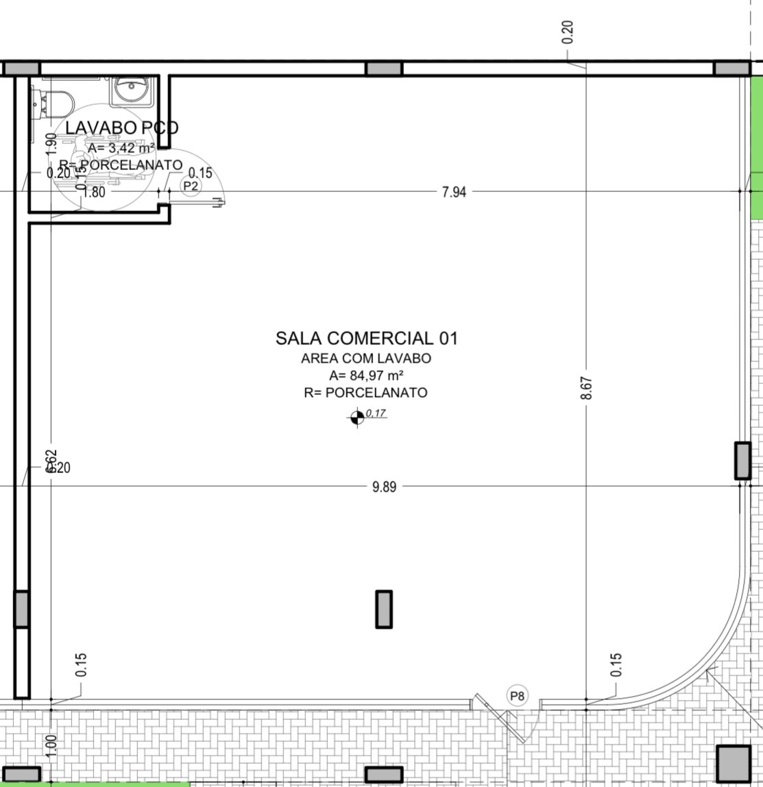 Planta 17 de Reserva Araucária