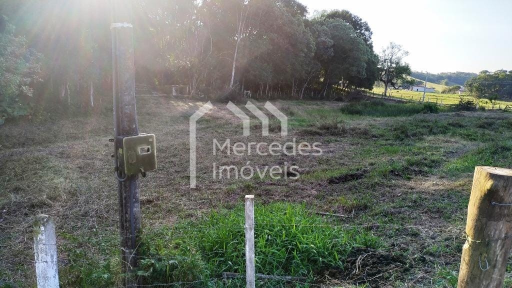 Foto 16 de Chácara 4 dorms à venda · Paciência, Itajaí