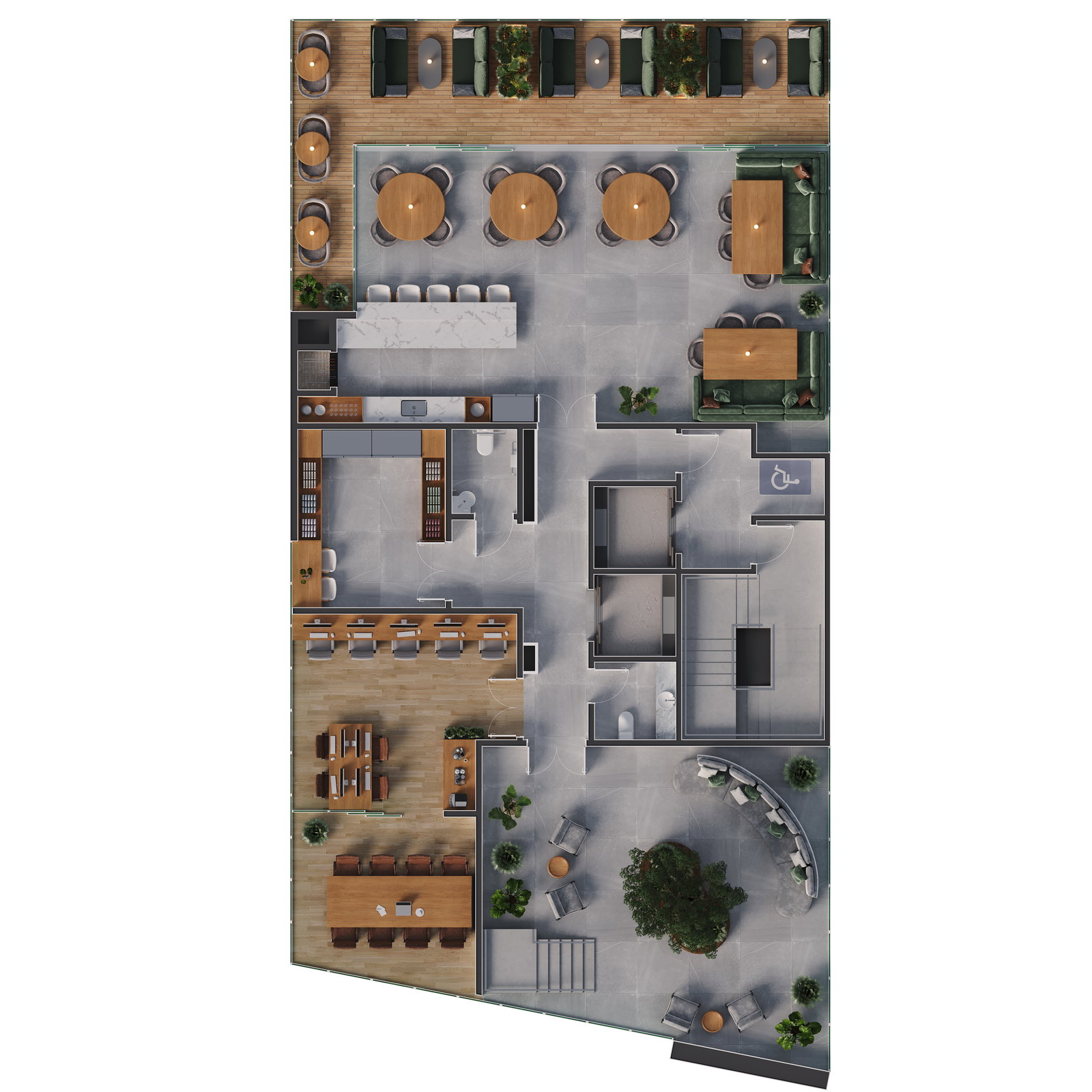 Planta 7 de Positanni