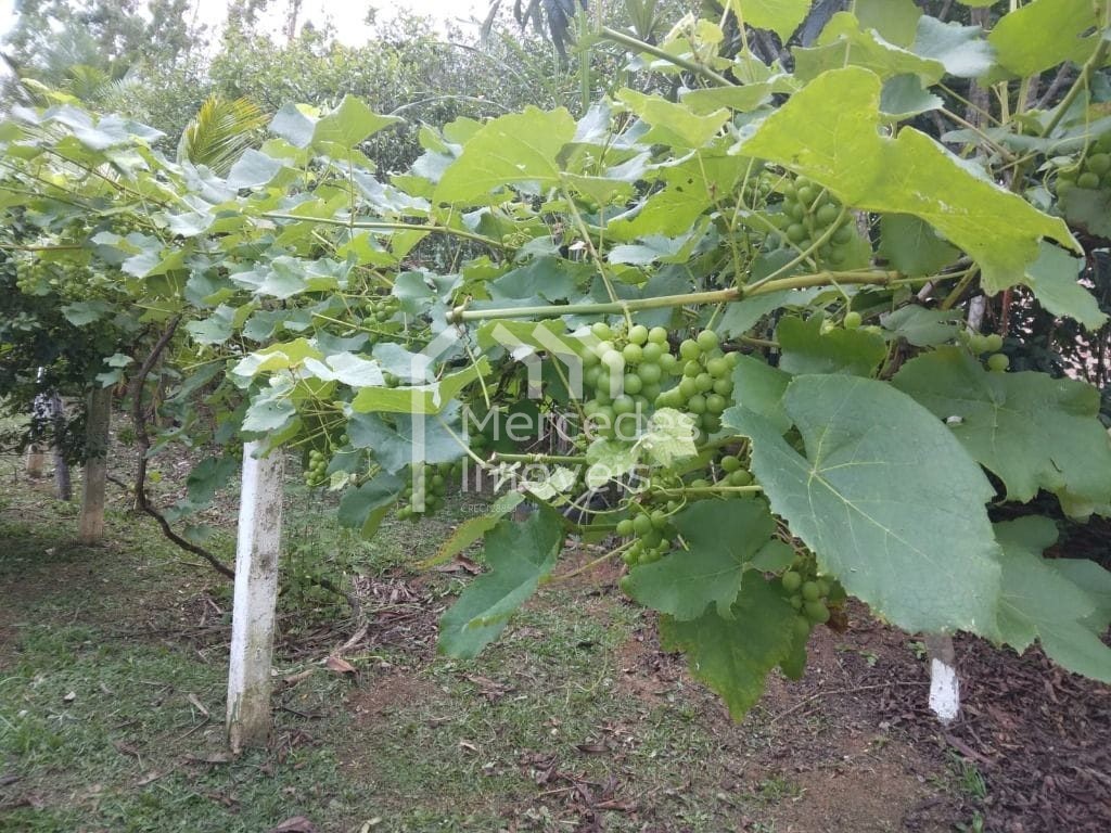 Foto 25 de Chácara 1 suíte + 3 dorms à venda · Brilhante I, Itajaí