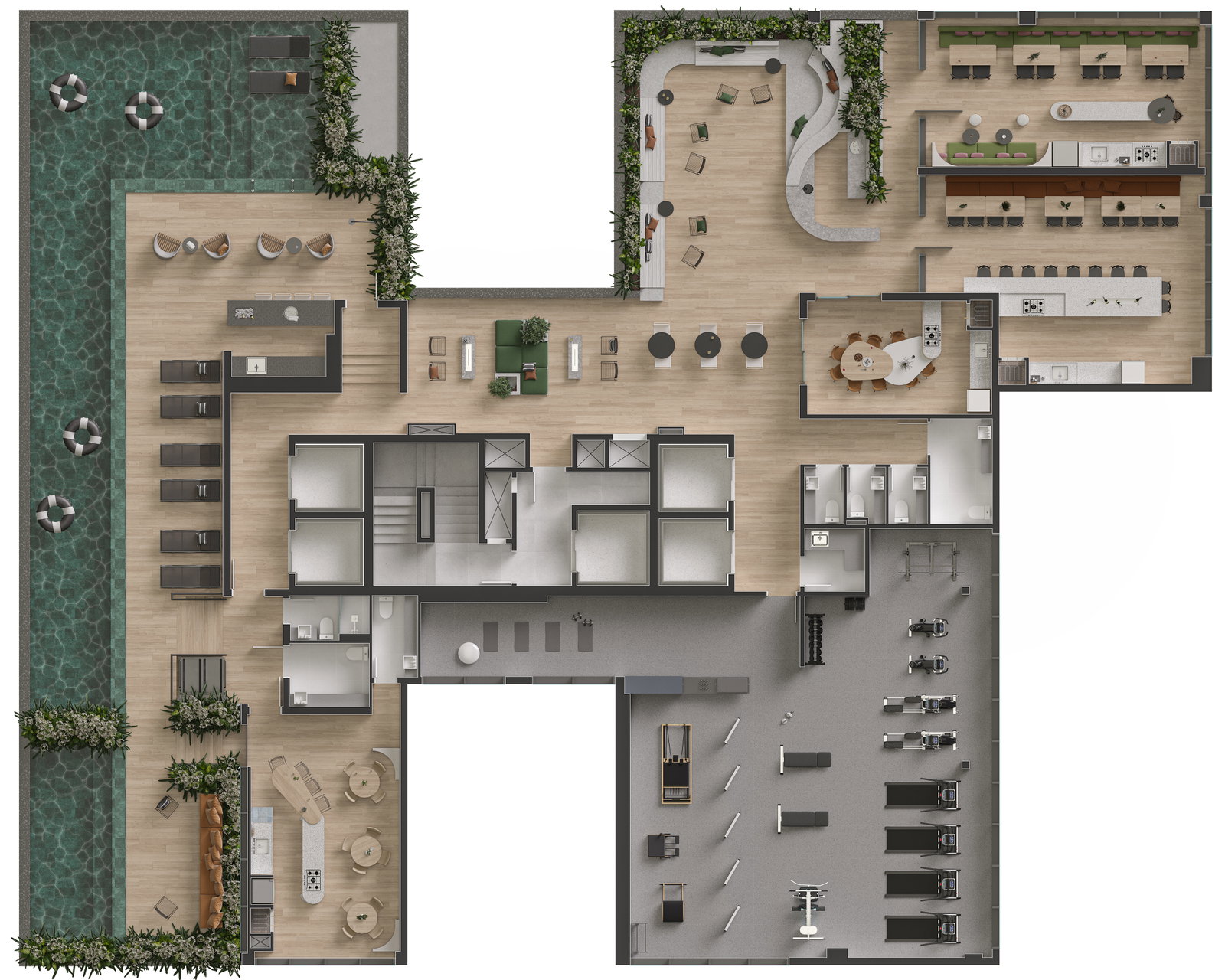 Planta 2 de Pulse