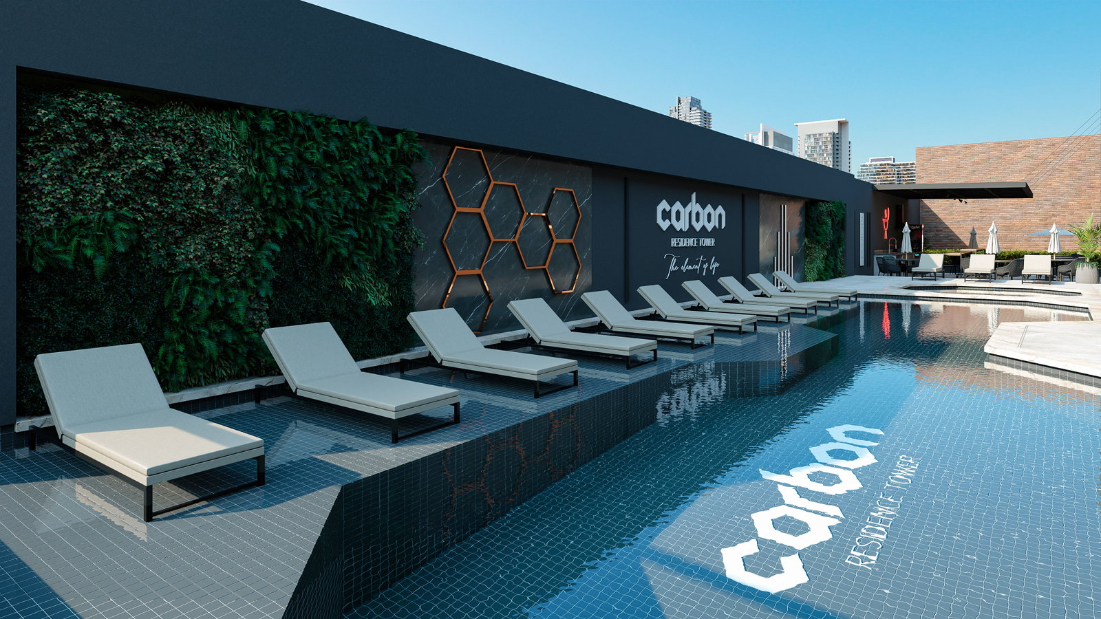 Foto 5 de Carbon