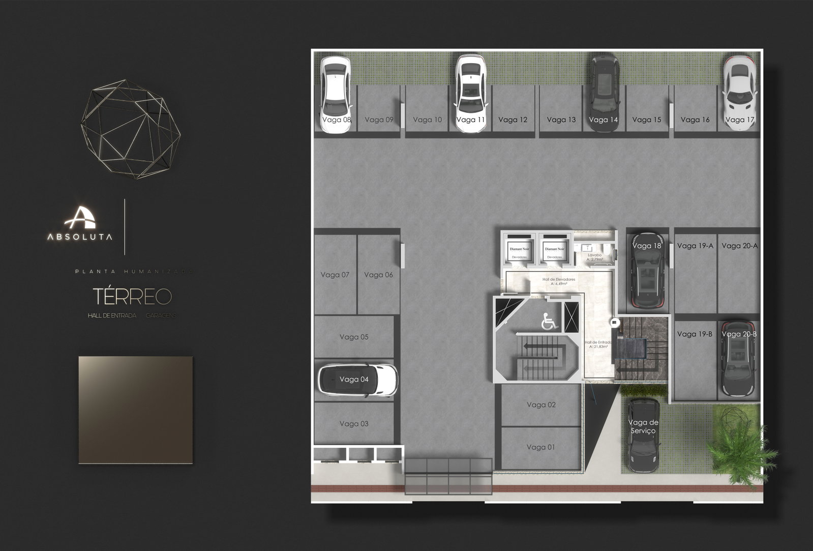 Planta 1 de Diamant Noir