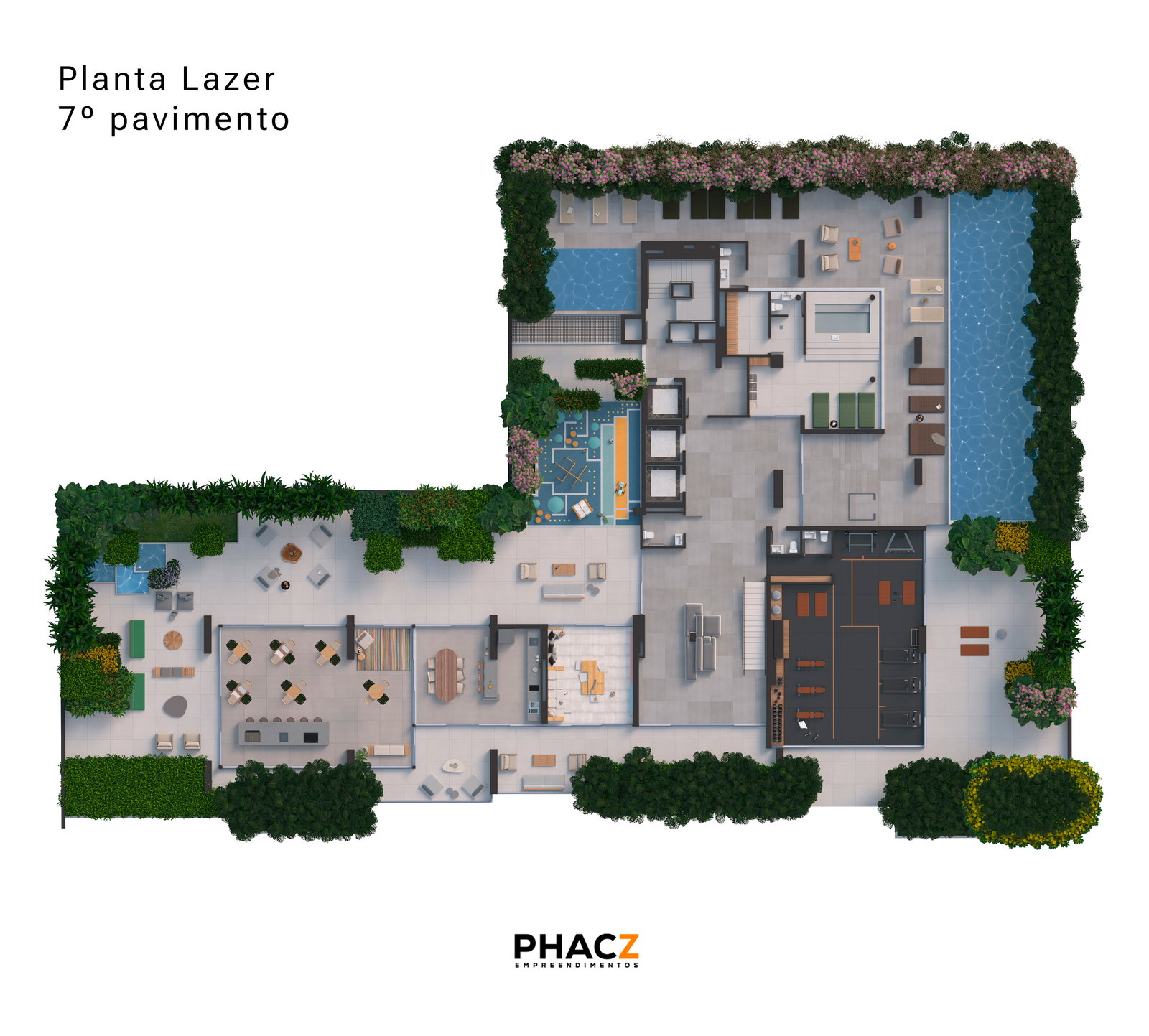 Planta 6 de Vibra