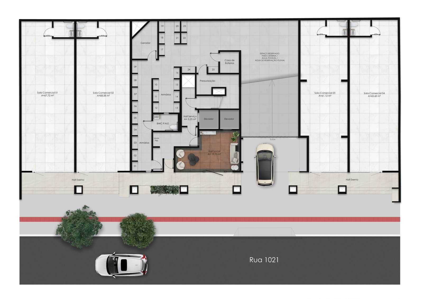 Planta 7 de Porto Tawny