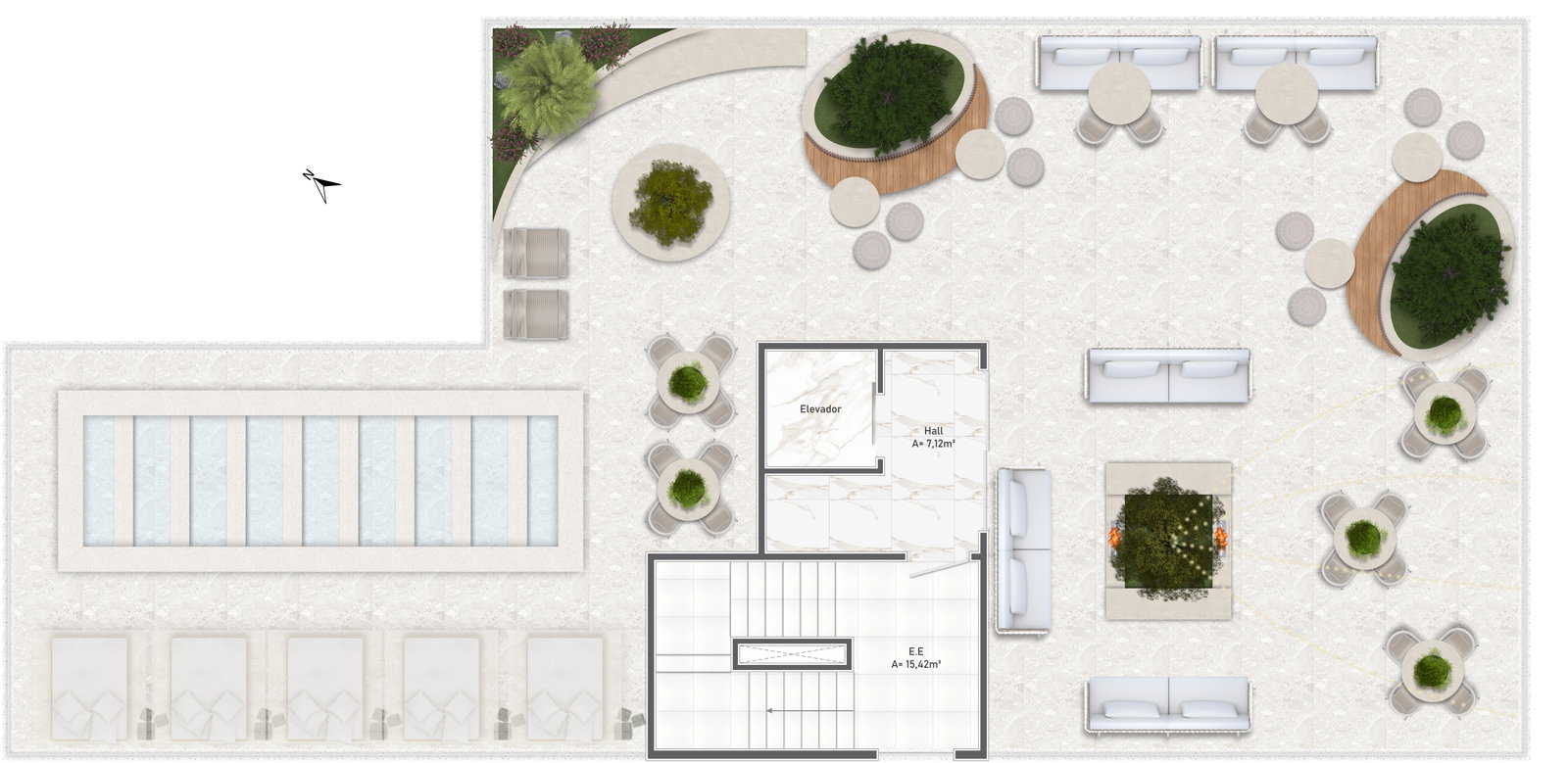 Planta 6 de Citrine