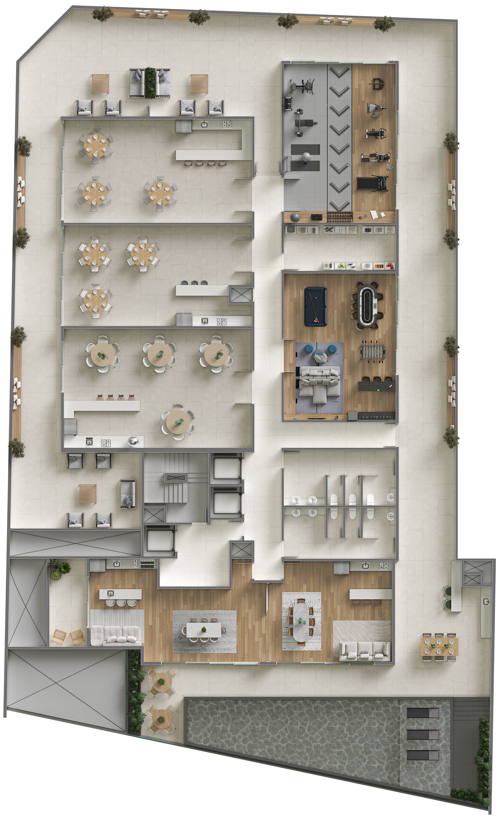 Planta 1 de Oxford 586