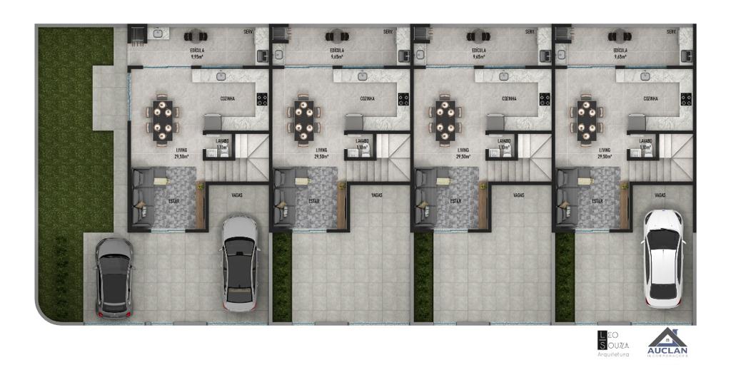 Planta 1 de Napier