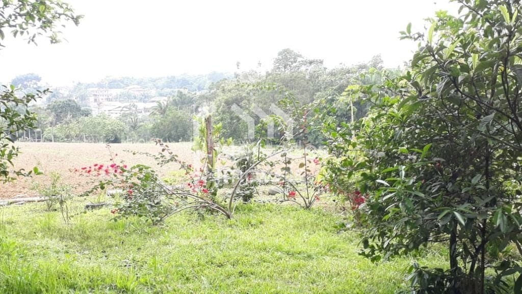 Foto 17 de Chácara 2 dorms à venda · Nossa Senhora da Conceição, Balneário Piçarras