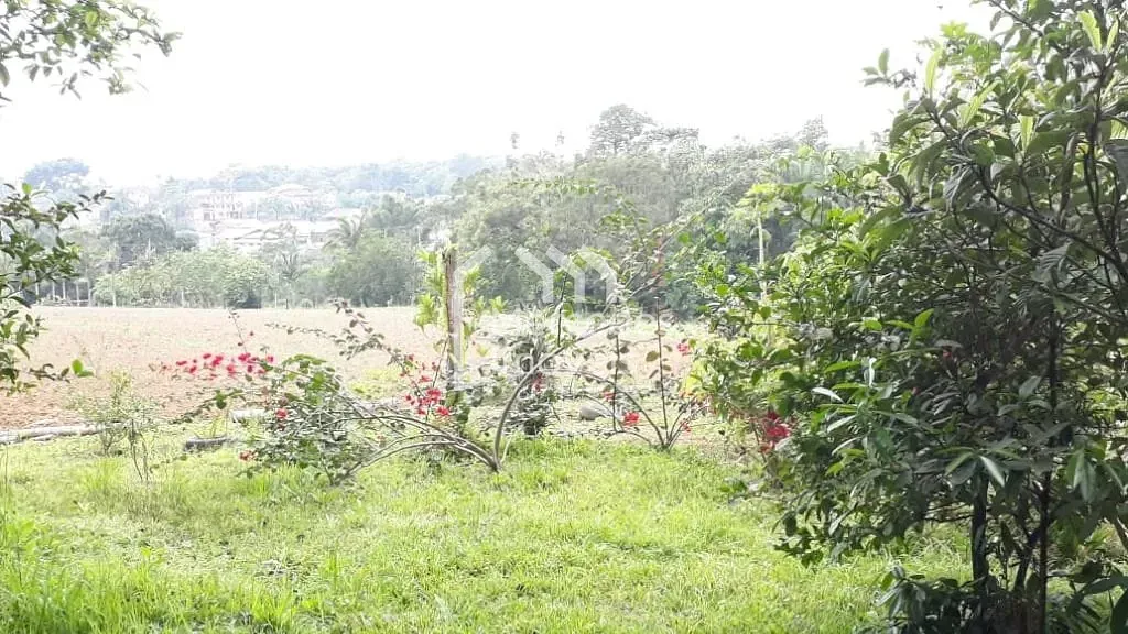Foto 17 de Chácara à venda, 7920 m² por R$ 2.000.000- Nossa Senhora da Conceição - Balneário Piçarras/SC