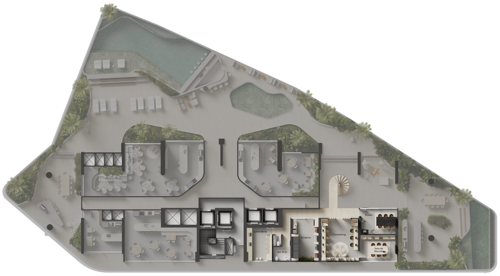Planta 6 de NF Raro By Sierra