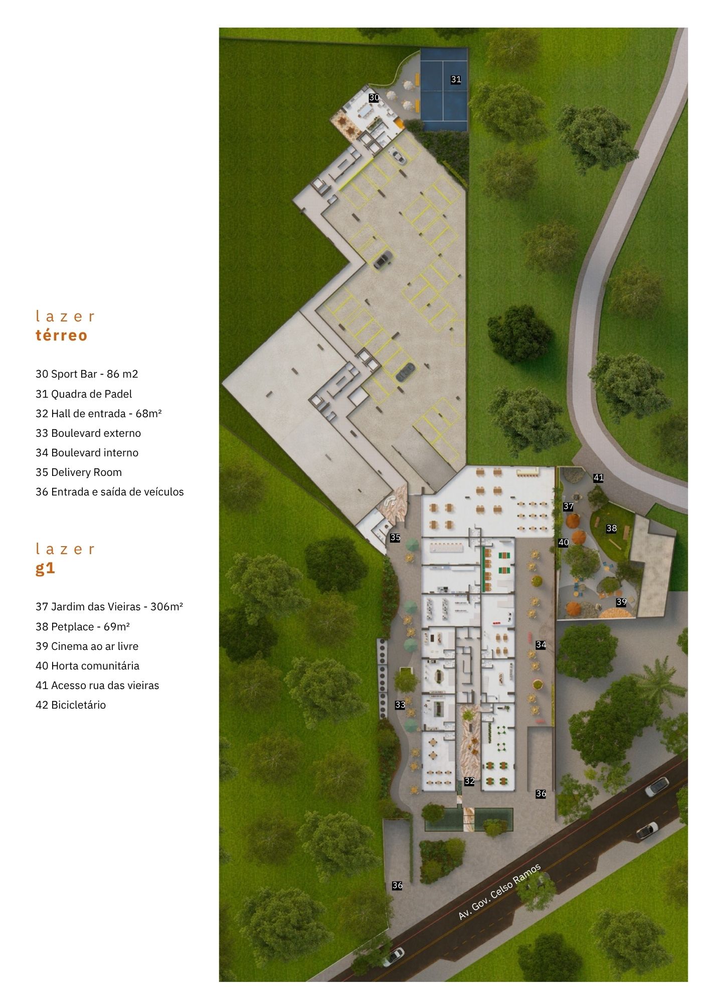 Planta 6 de Vieiras