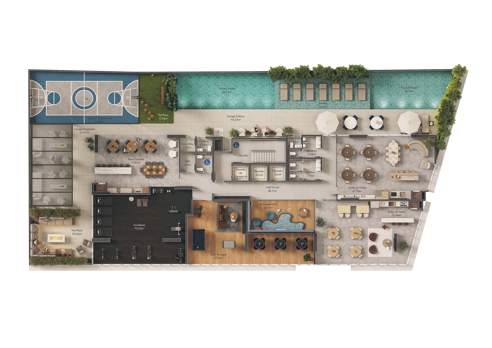 Planta 2 de Rising Sun