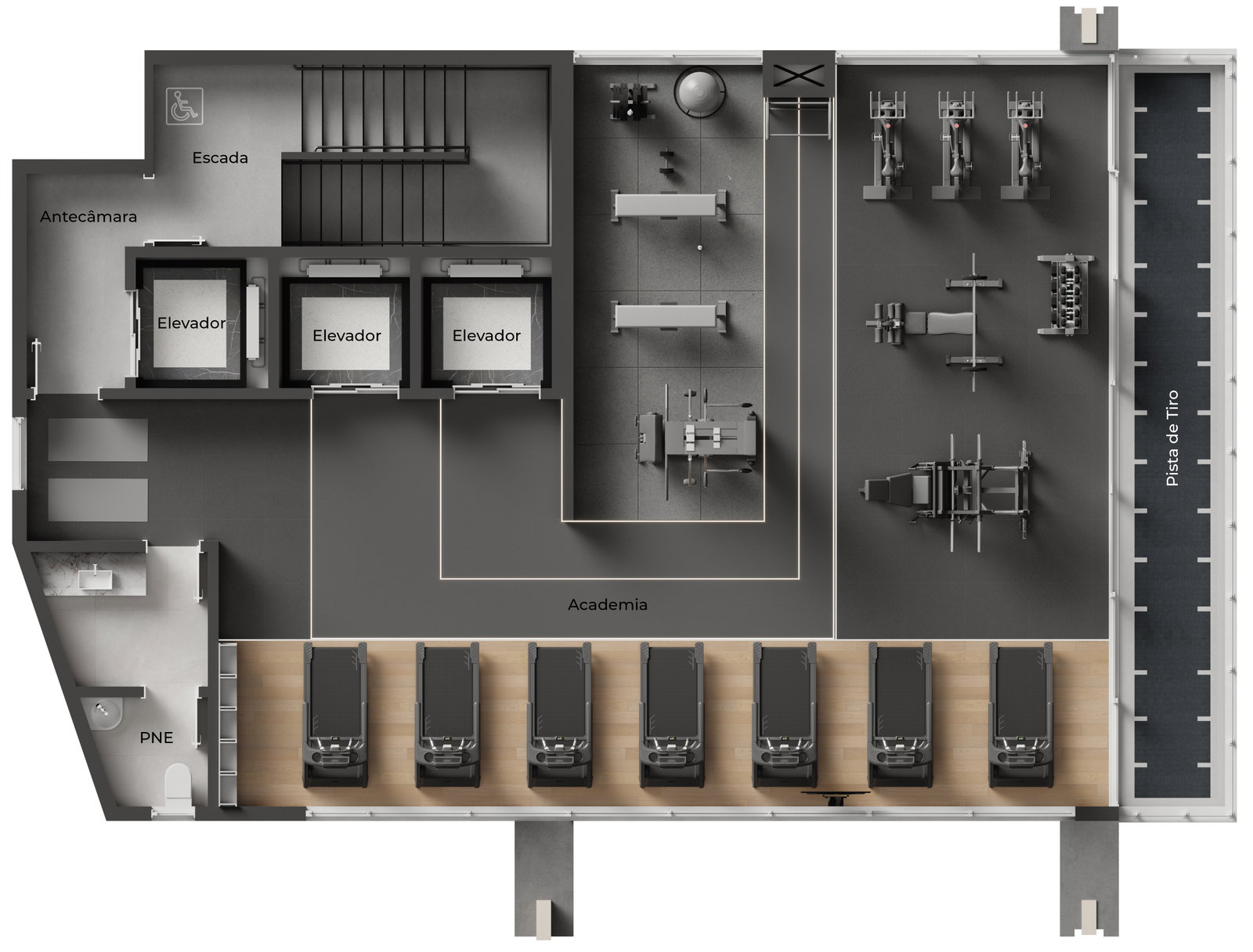Planta 1 de NF Pulse