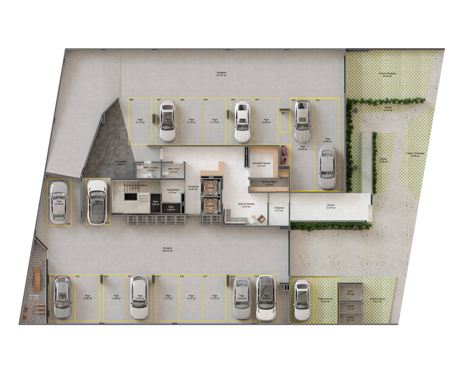 Planta 2 de Oiti