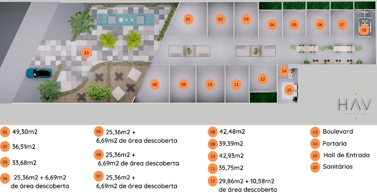 Planta 6 de HAV