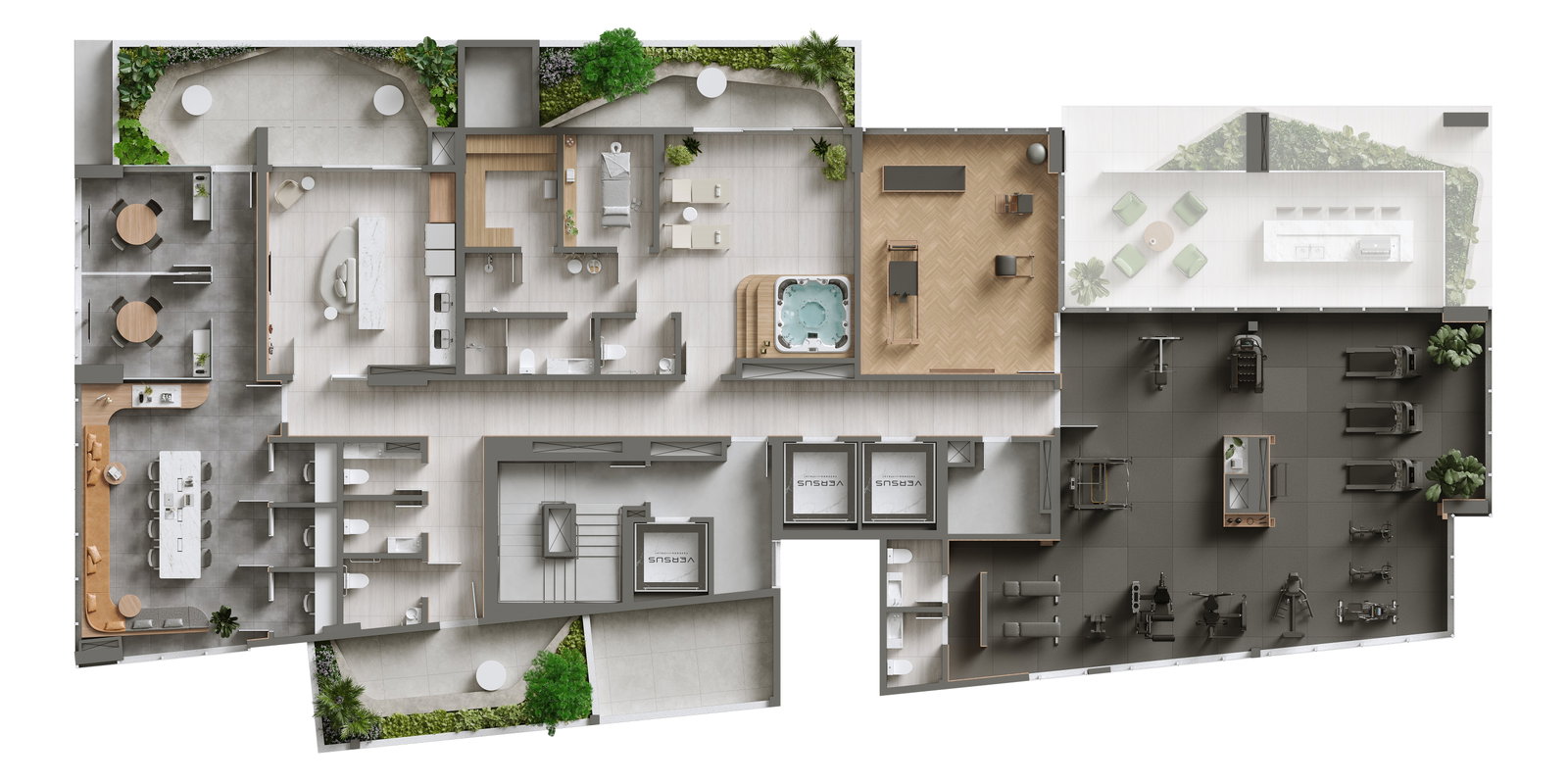 Planta 3 de Versus