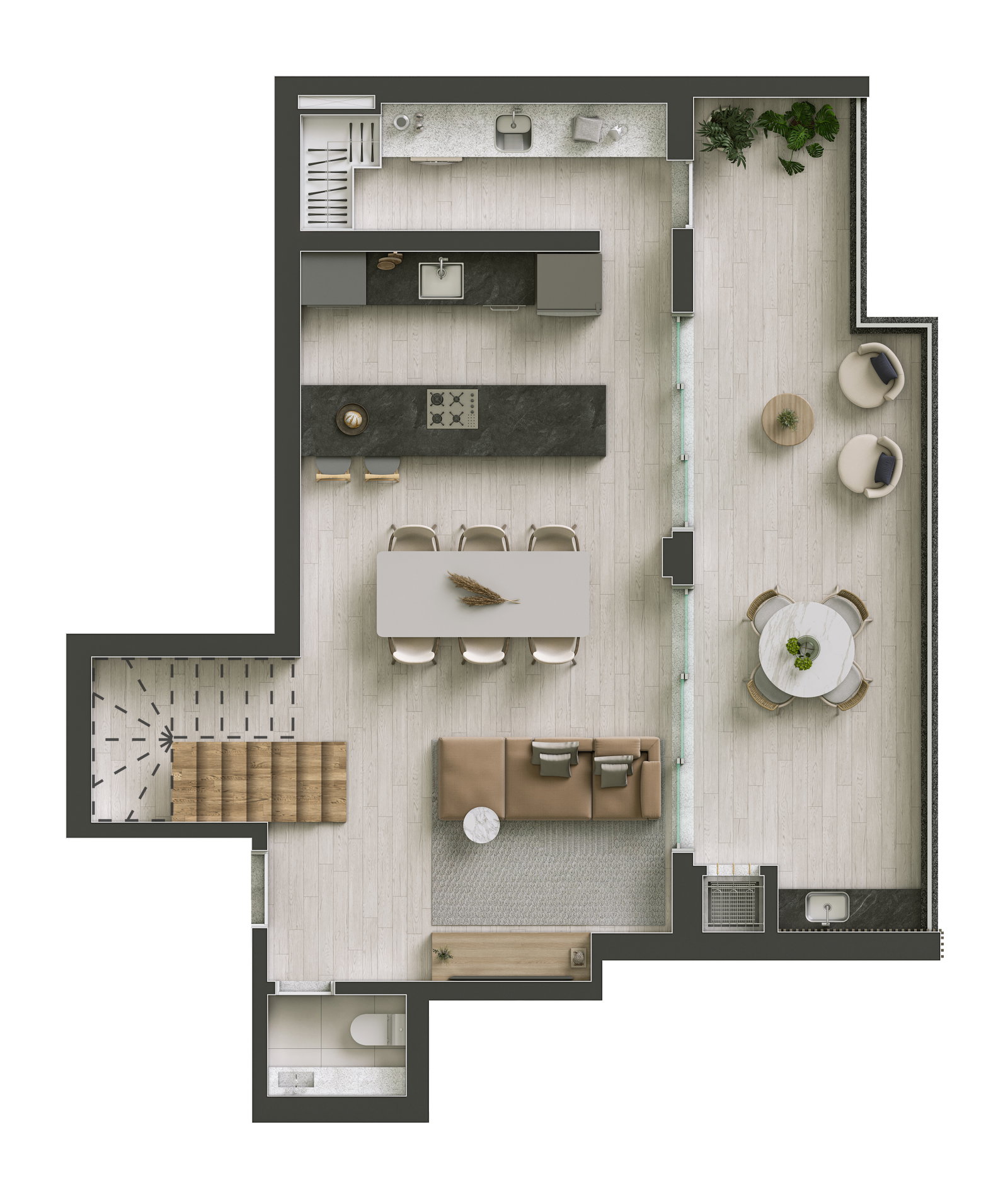 Planta 15 de Cora