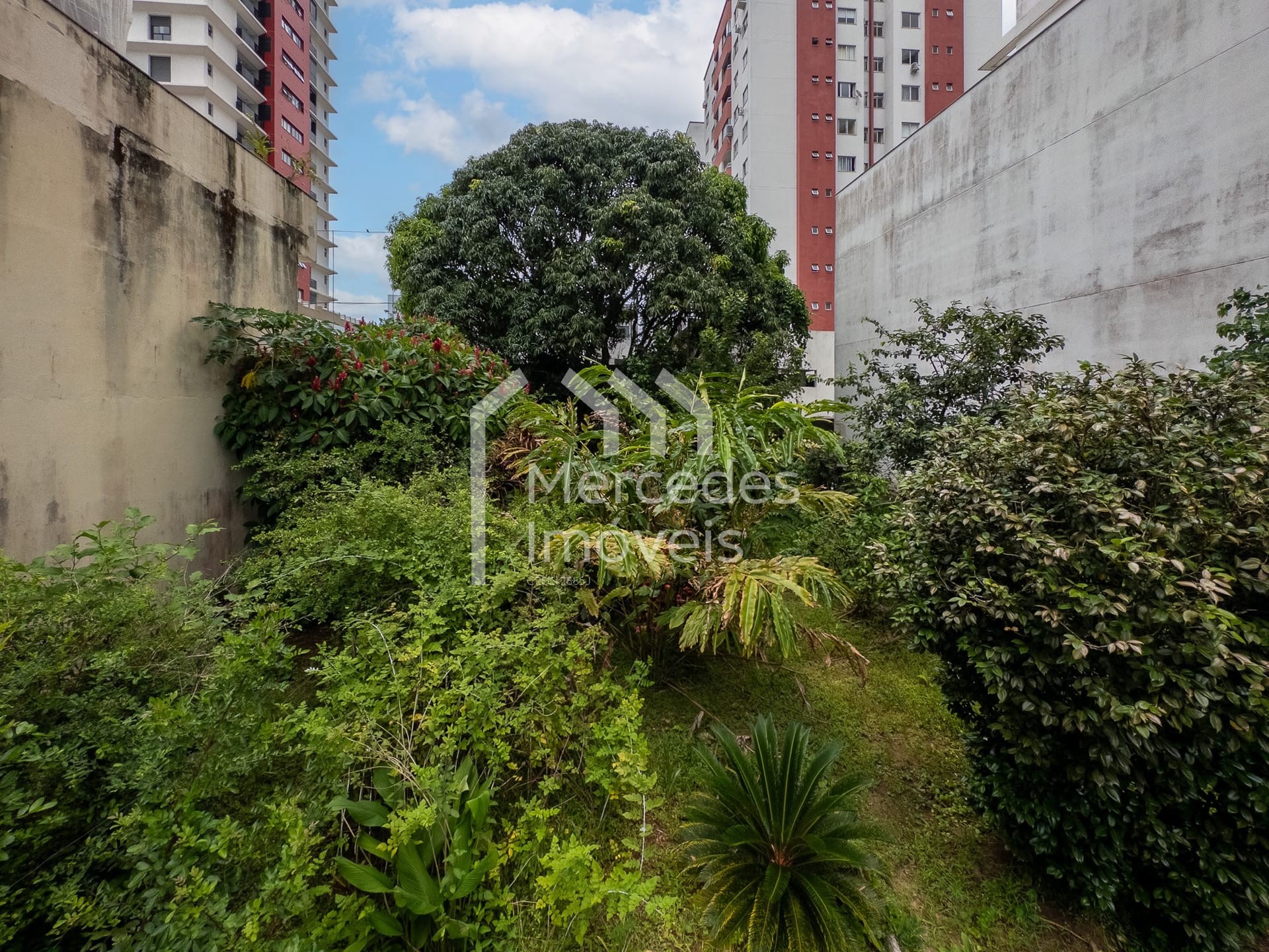 Foto 16 de Casa para alugar · Centro, Itajaí · 180 m²