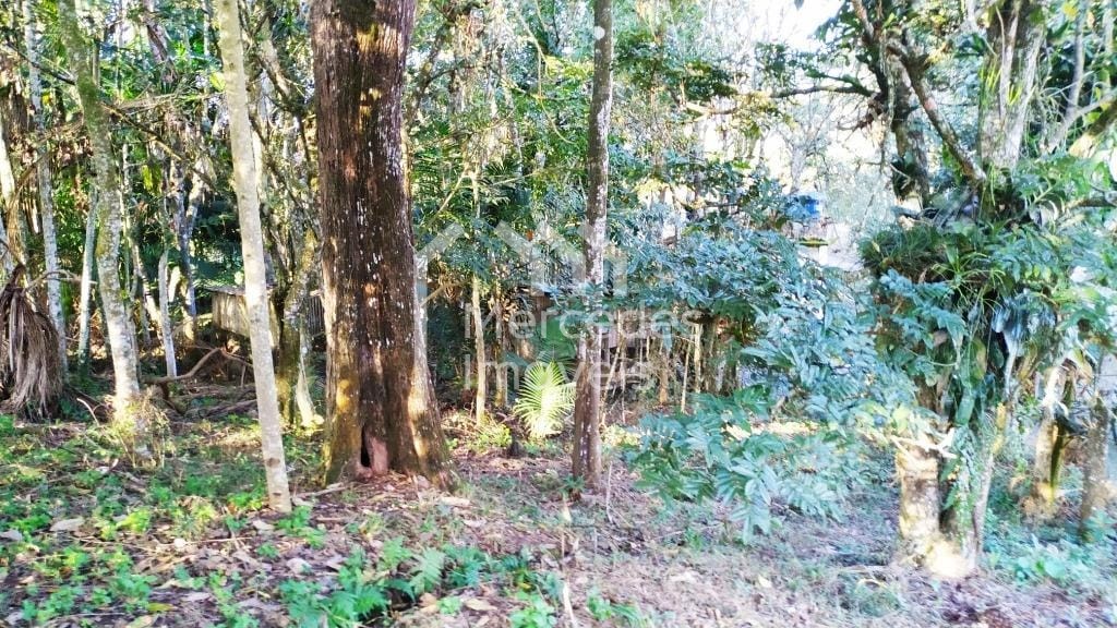 Foto 19 de Chácara 4 dorms à venda · Paciência, Itajaí