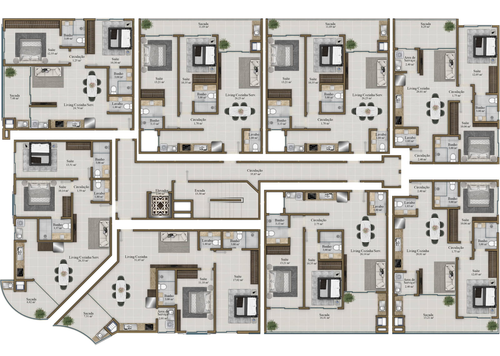 Planta 6 de Badejo
