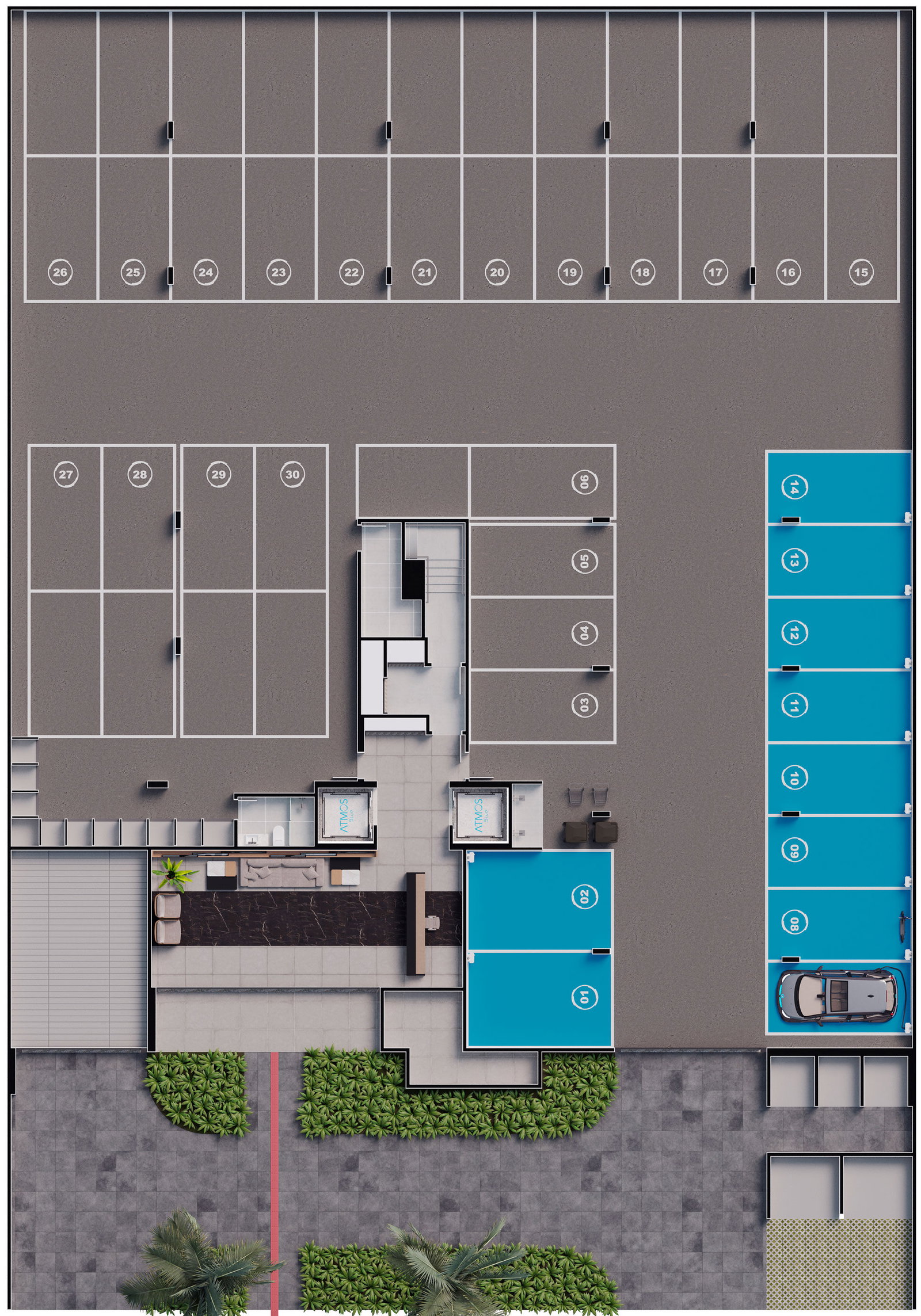 Planta 19 de Atmos Blue