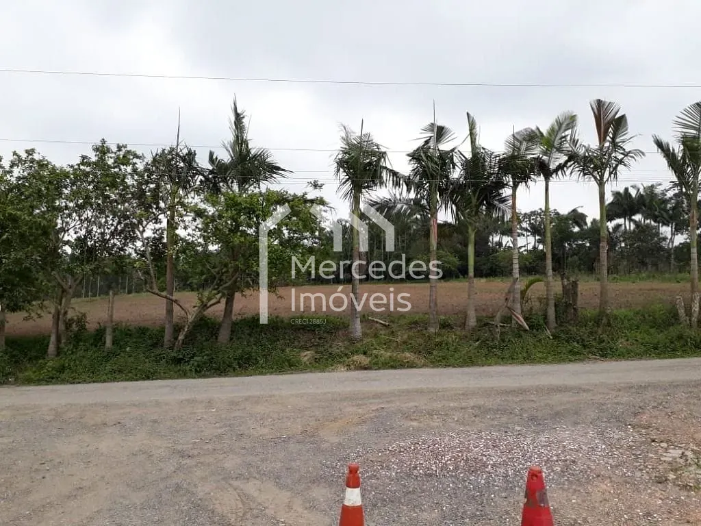 Foto 19 de Chácara à venda, 7920 m² por R$ 2.000.000- Nossa Senhora da Conceição - Balneário Piçarras/SC