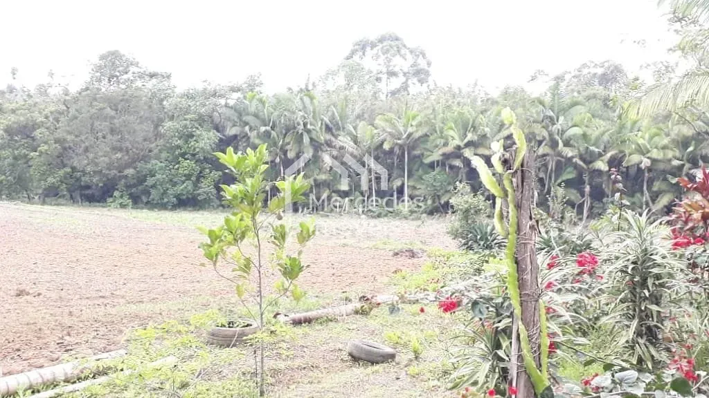 Foto 5 de Chácara à venda, 7920 m² por R$ 2.000.000- Nossa Senhora da Conceição - Balneário Piçarras/SC