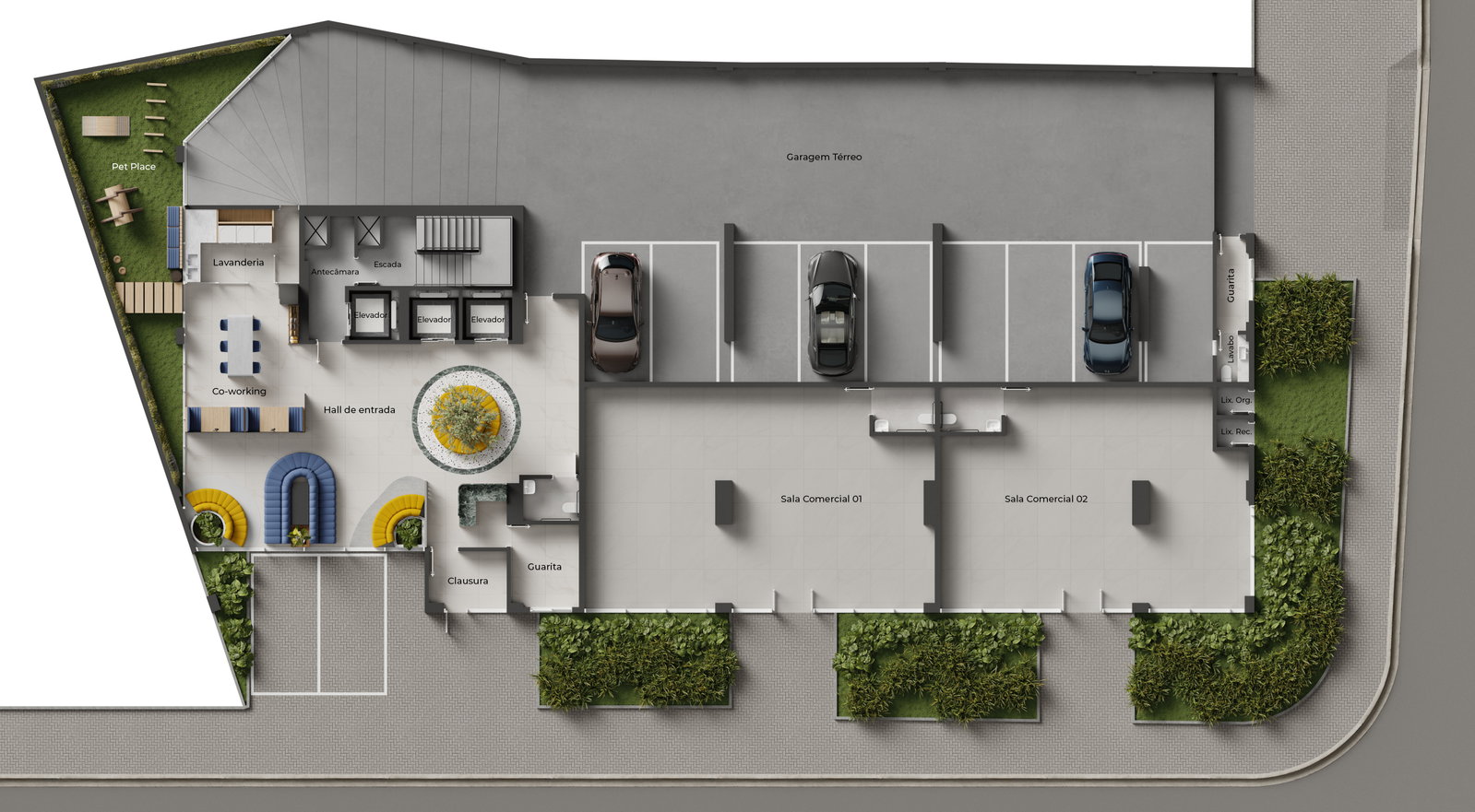 Planta 6 de NF Pulse