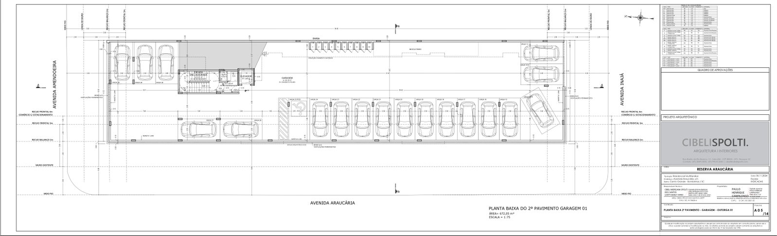 Planta 6 de Reserva Araucária