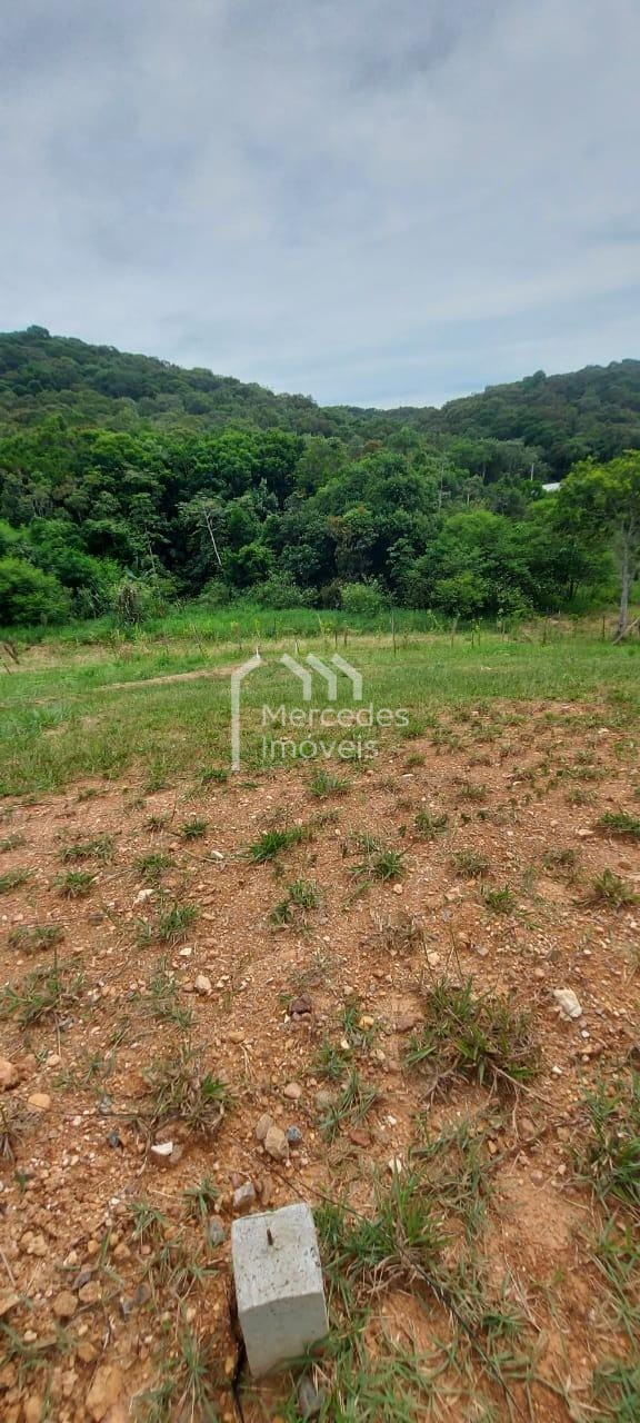 Foto 4 de Terreno à venda · Rio do Meio, Itajaí · ALINEA RESERVA ITAJAI · 205 m² · TE0203
