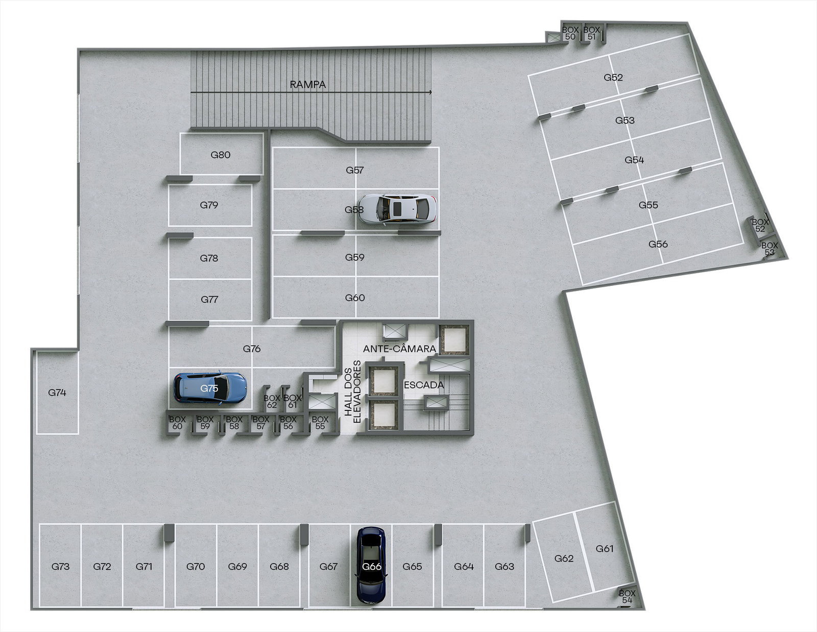 Planta 1 de Monte Viso