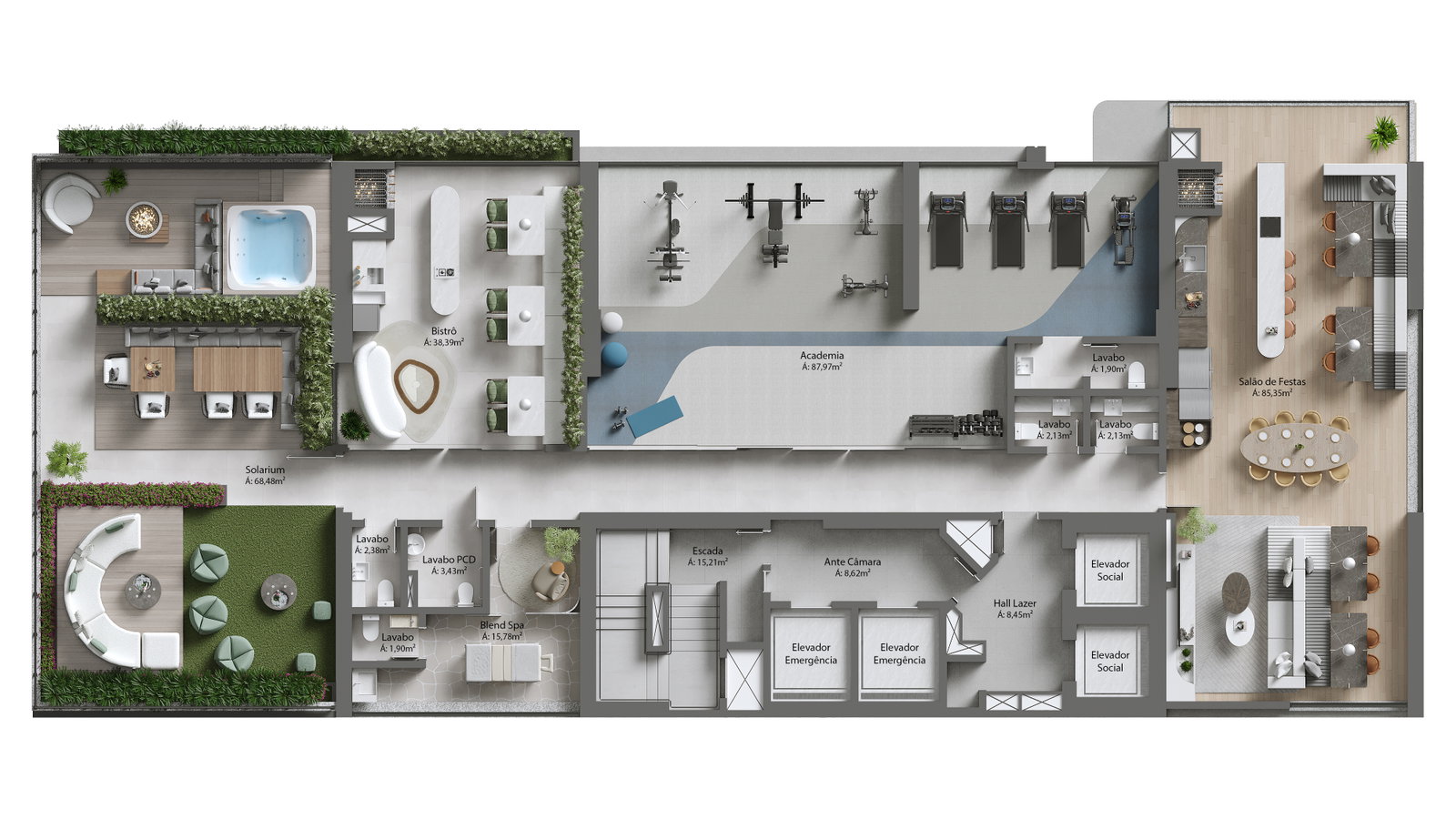 Planta 1 de Blend