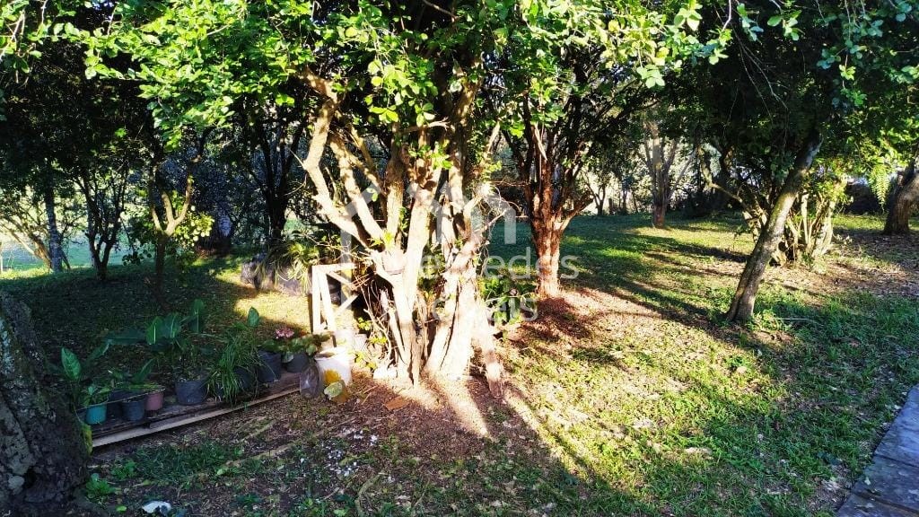 Foto 18 de Chácara 4 dorms à venda · Paciência, Itajaí