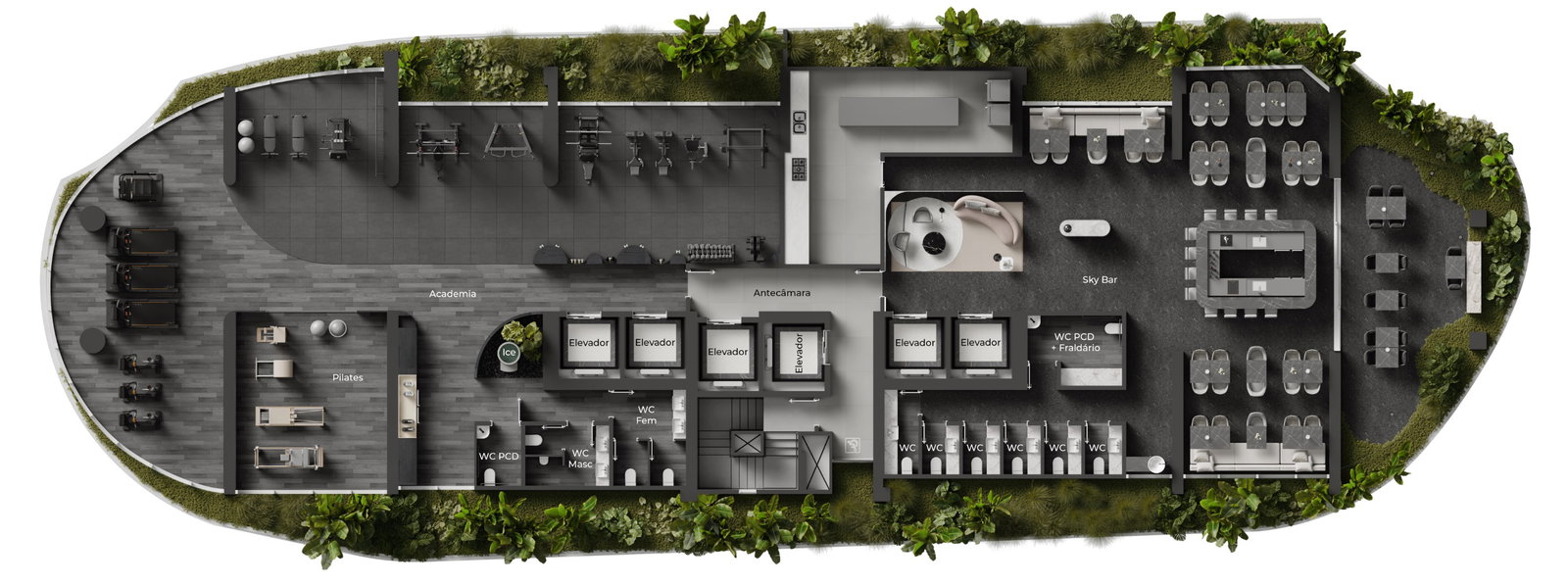 Planta 1 de NF Raro By Sierra