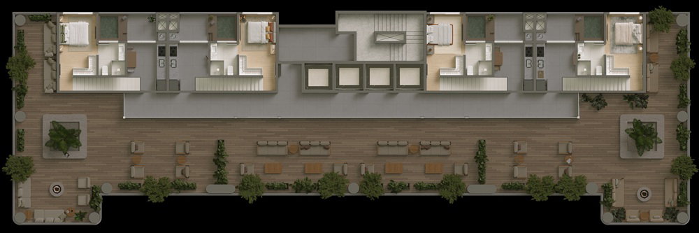 Planta 5 de Samaná