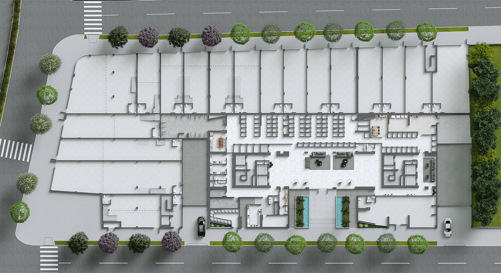 Planta 6 de Ápice