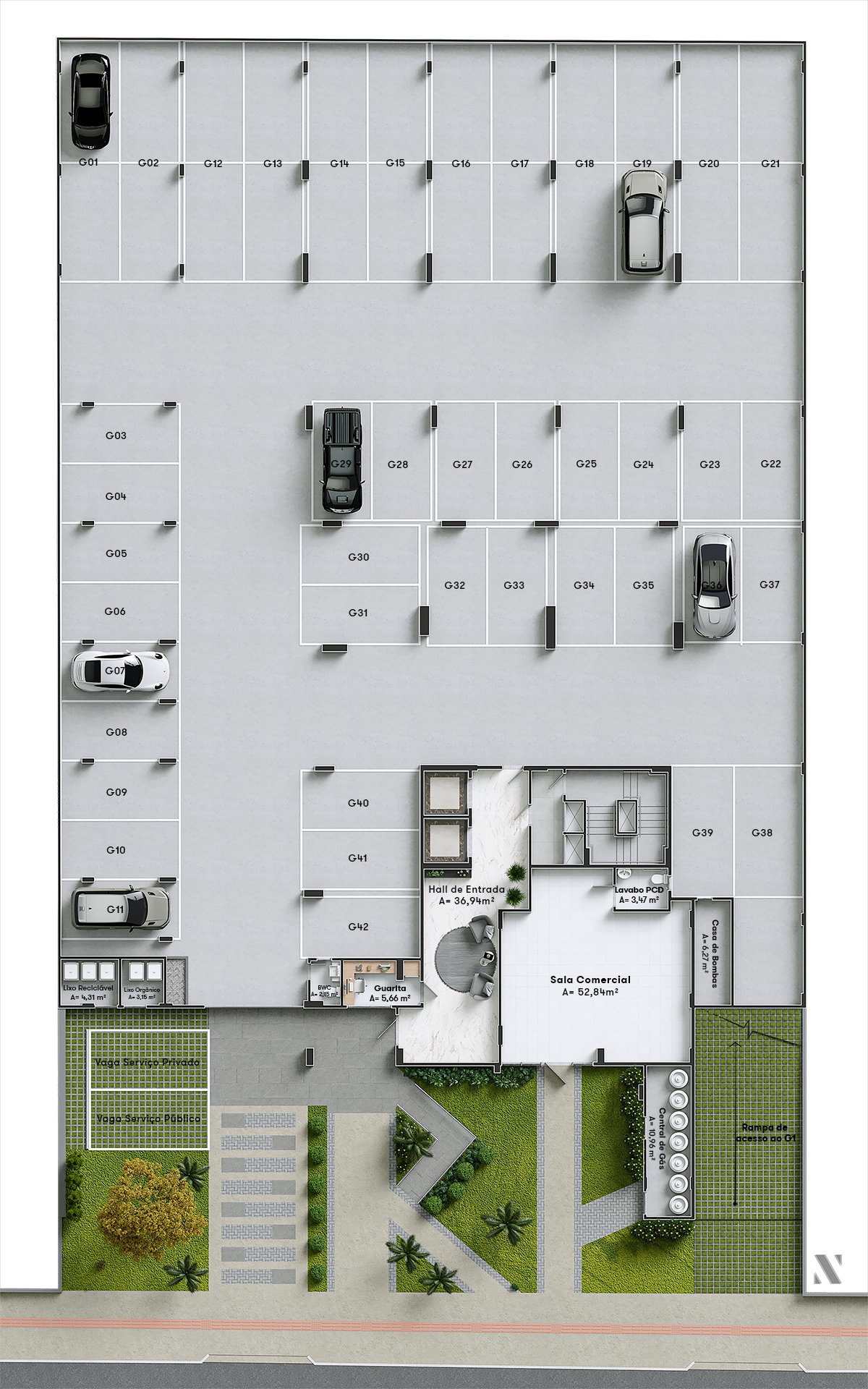 Planta 1 de Maggiore