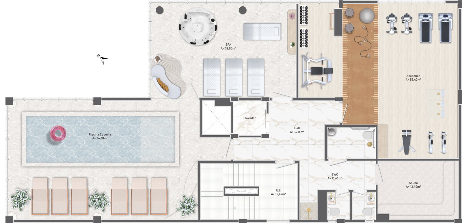 Planta 5 de Citrine