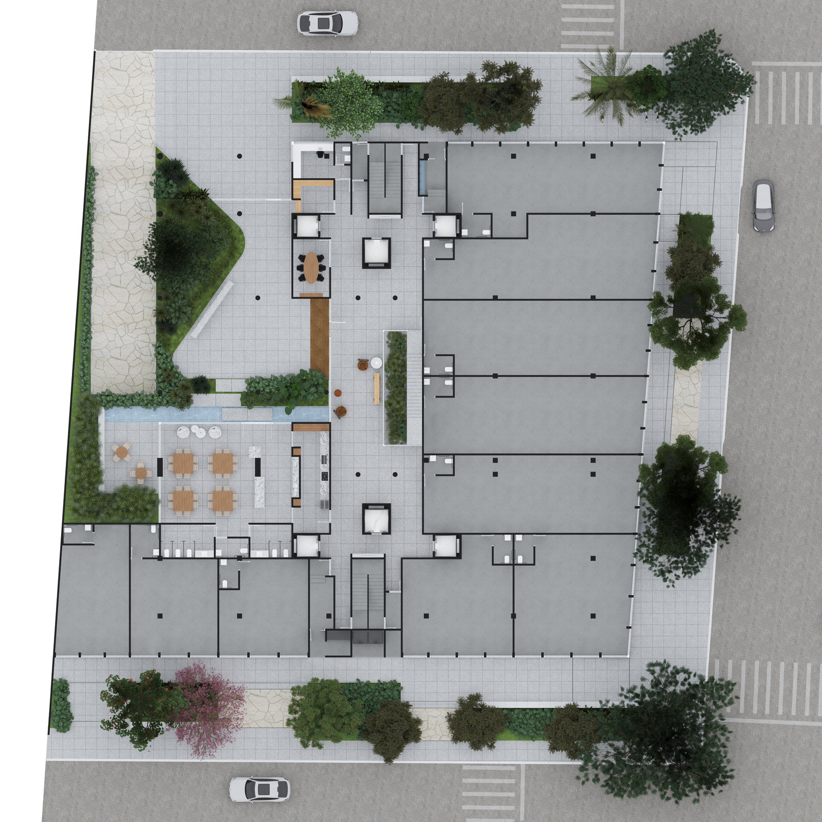 Planta 4 de Vero