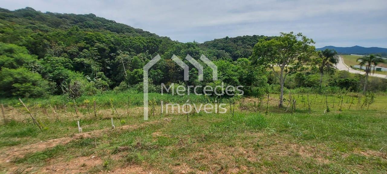 Foto 3 de Terreno à venda · Rio do Meio, Itajaí · ALINEA RESERVA ITAJAI · 205 m² · TE0203