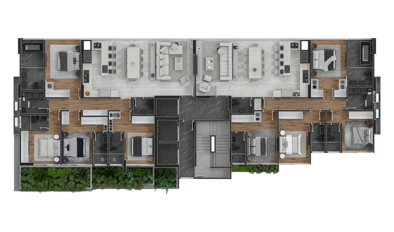 Planta 5 de Black Bird