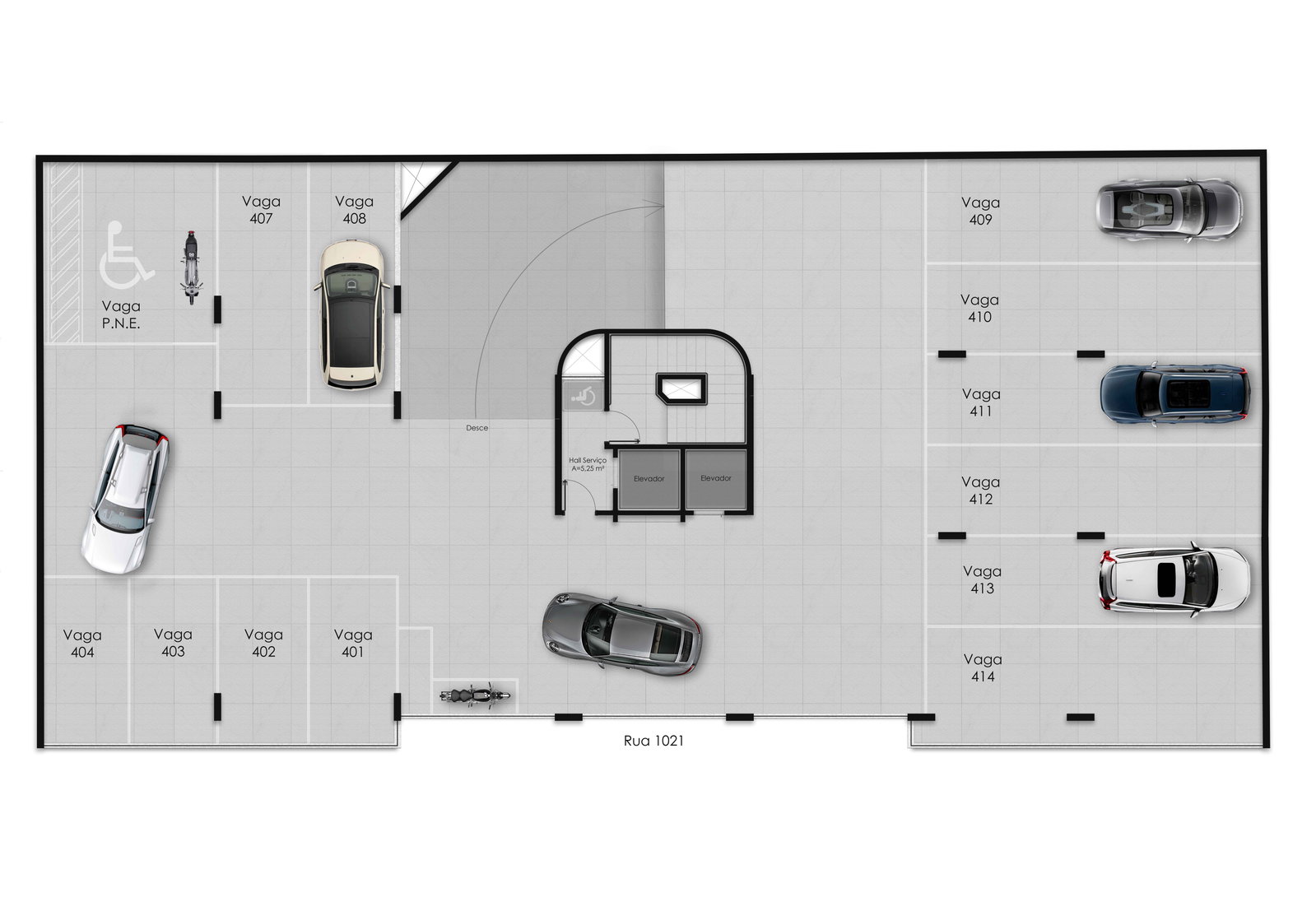 Planta 6 de Porto Tawny